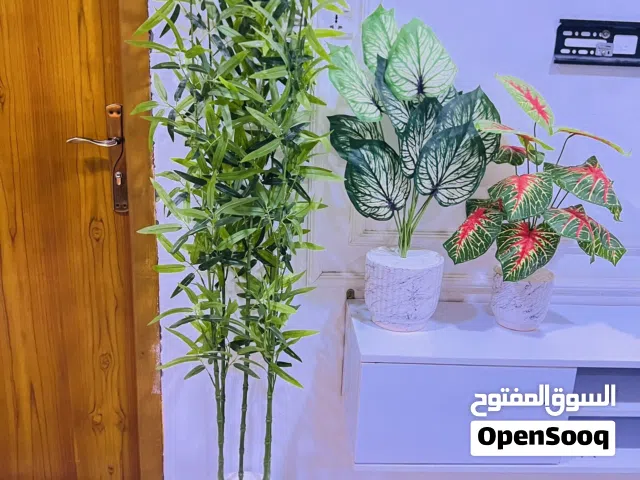 سيت الأشجار الاصطناعية