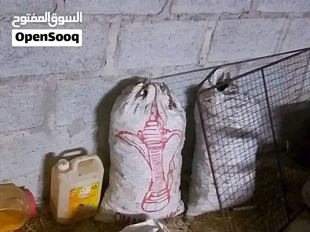 للبيع فحم سمر
