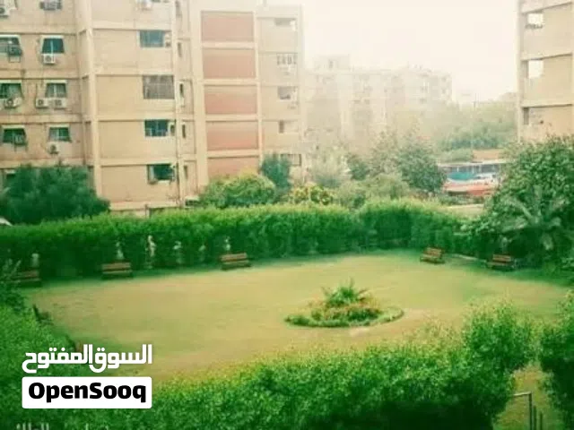 شقة في الصالحية للايجار