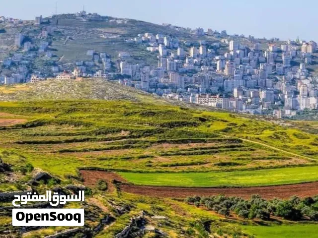 Residential Land for Sale in Nablus Asira Ash-Shamaliya