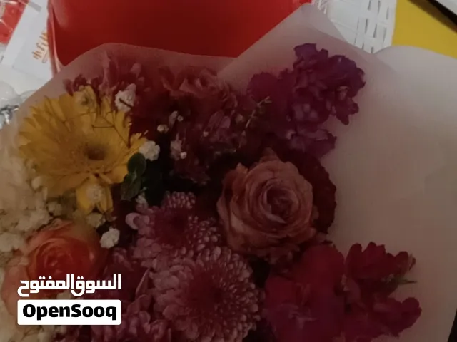 مطلوب بيت اجار شهري بجاوا بسعر 150