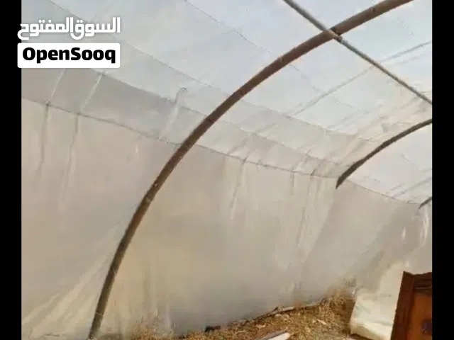 بيت بلاستيك طول 30 متر بعرض 3 متر