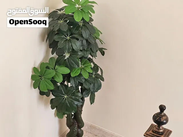 شجرة صناعية راقية بحالة ممتازة ب 7 ريال فقط