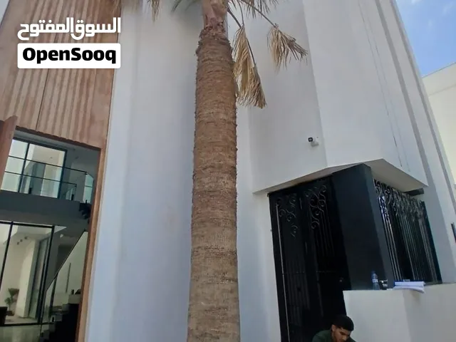 نخله ربي يبارك باللهي الي يعرف قيمتها يكلمني