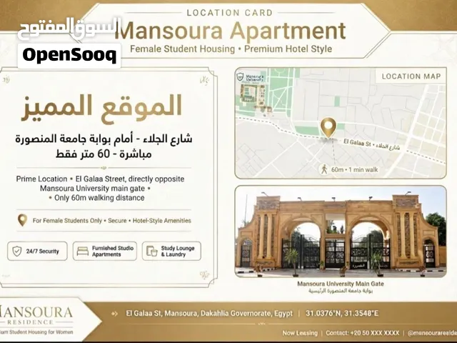 شقة  فندقيةامام جامعة المنصورة شارع الجلاء