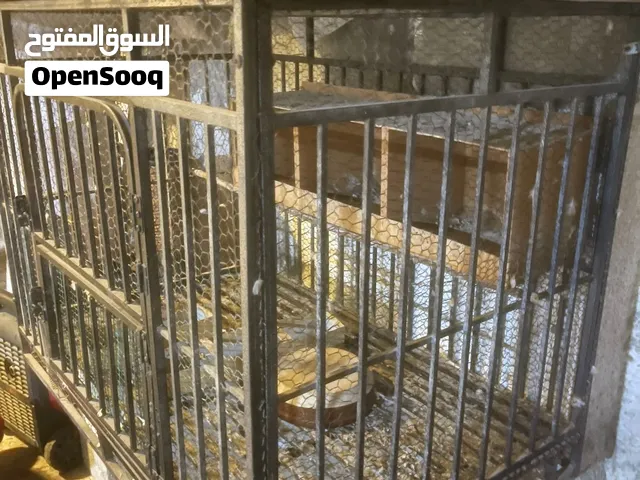 للبيع قفص نظيف