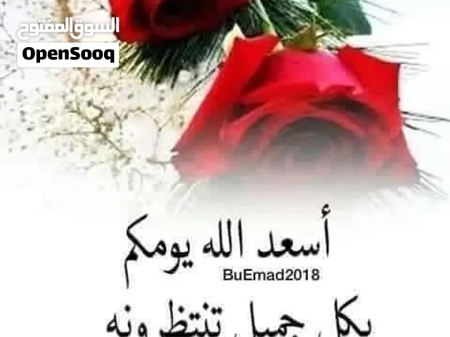 حطب. جريد يابس وكرناف  مجاني