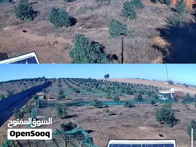 ارض فلاحية محفظة  28000 م