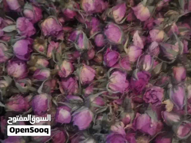 وردة من الدرجة الأولى