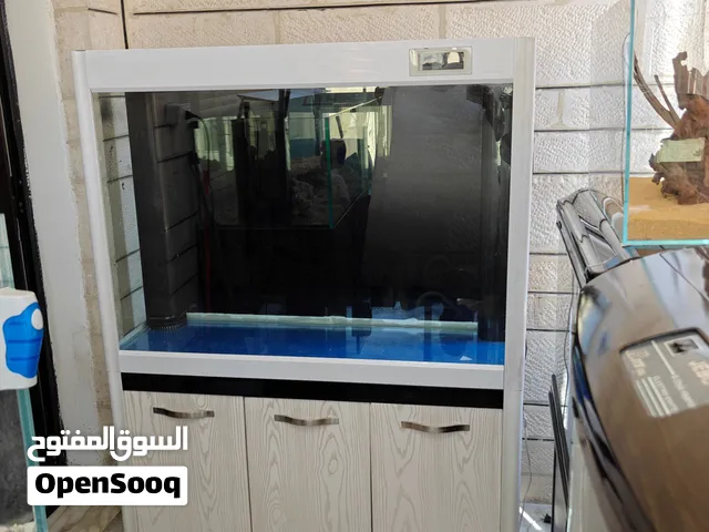 متاح احواض سمك اجنبي عدة مقاسات