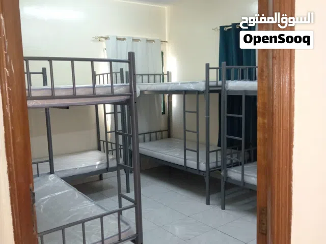 سكن شباب شيرنيج