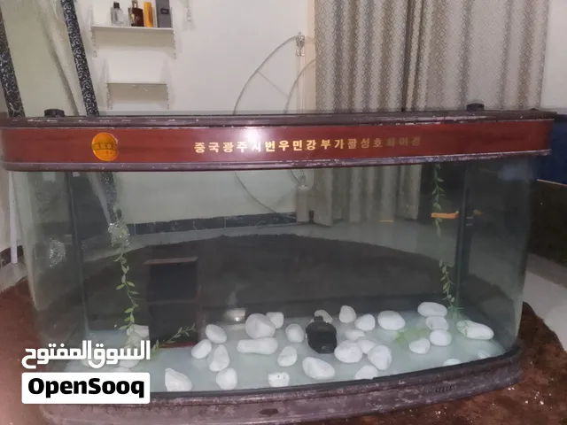 الحوض الأسماك شكله مميز وجميل وفريد من النوع وغير مُكرّر وحجمه كبير