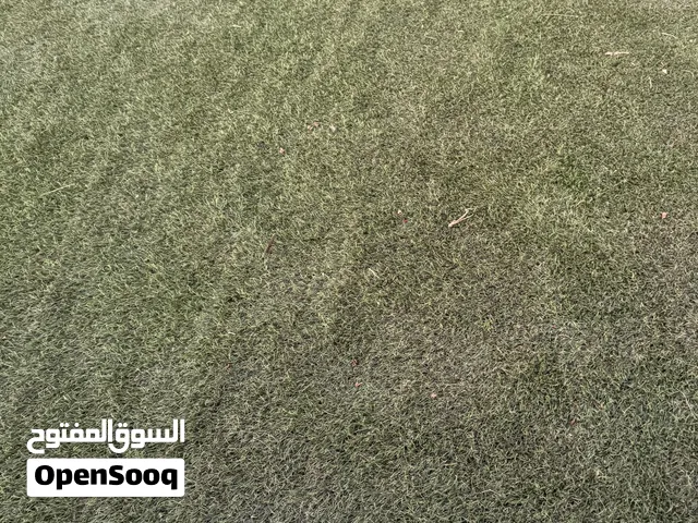 حشيش صناعي سعودي المنشأ