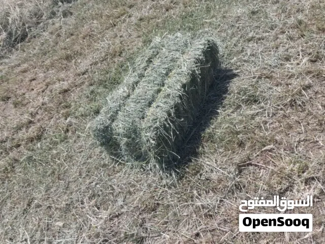 حشيش للبيع مع التوصيل للكميه