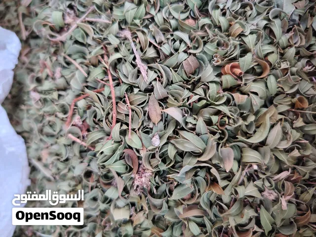حنا للبيع انتاج جديد