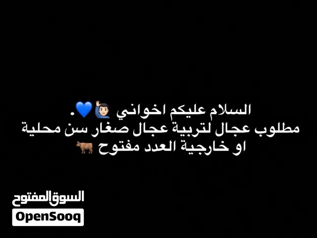 مطلوب عجال لتربية بصحه ممتازه