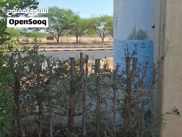 قص السور تركي وقص الأشجار الغير مرغوب بها