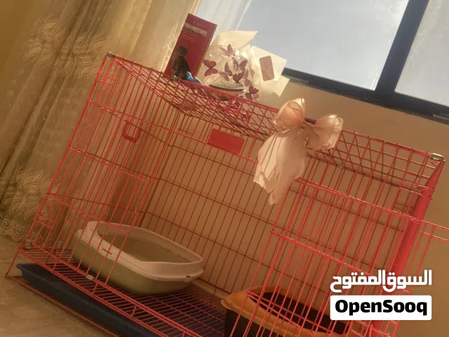 قفص قطة لون زهري