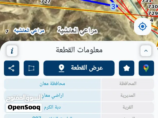 ارض للبيع معان دبة الكرم