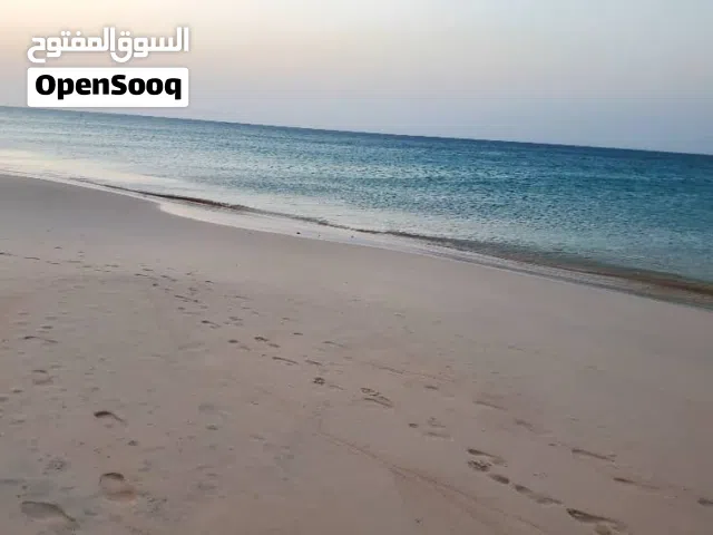 ارضية كبيرة للبيع في سقطرى مطلة على البحر مباشرة بجانب فندق باب البحر مساحتها 36 ألف متر بسعر عرطة