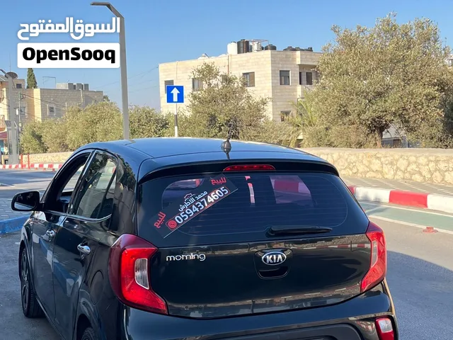 بيكانتو للبيع