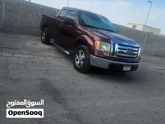 ford f150 2010