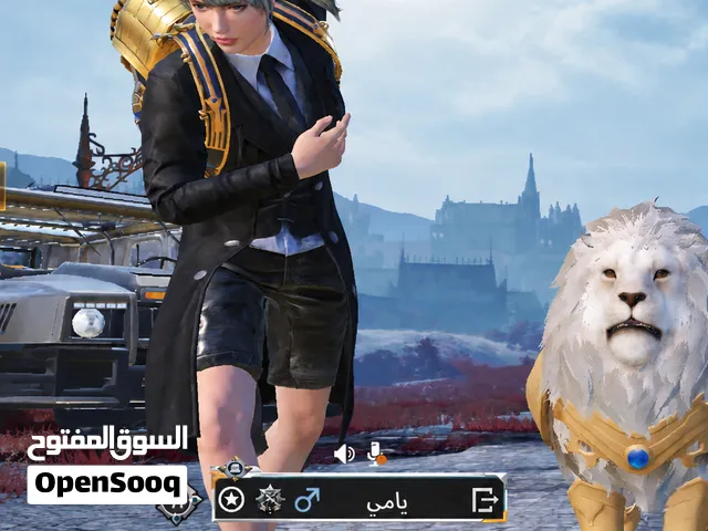 Pubg Accounts and Characters for Sale in Aden
