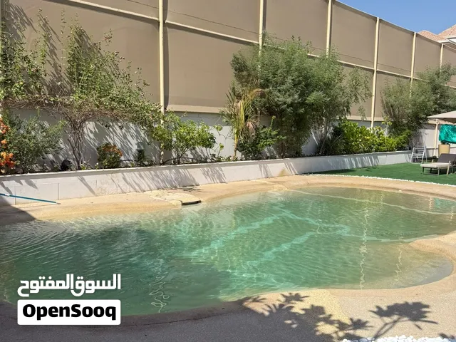 مسابح شاطئية وخرسانية ولاند اسكيب