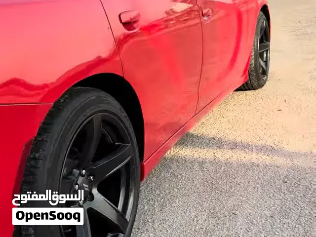 ويل كب نجمه خسفه قويه للمراوس فقط حسب الرغبة حجم 20