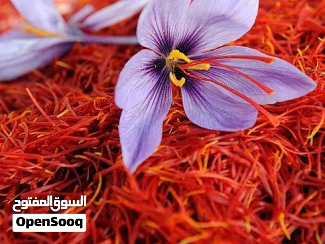زعفران إيراني أصلي فاخر للبيع بالجملة