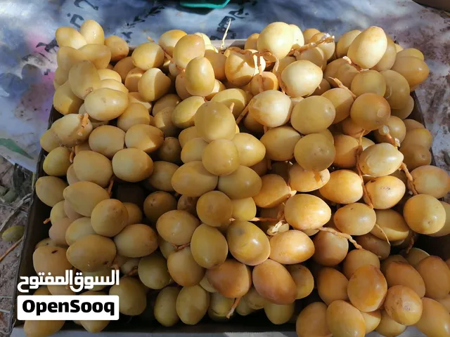 جميع انواع النخيل  البرحي