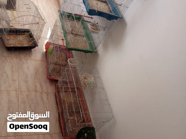 اقفاص للبيع بحالة جيدة