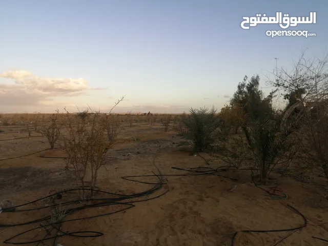 Mixed Use Land for Sale in Matruh Alamein