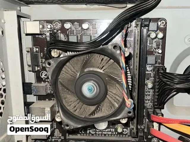 بورده و معالج و رام