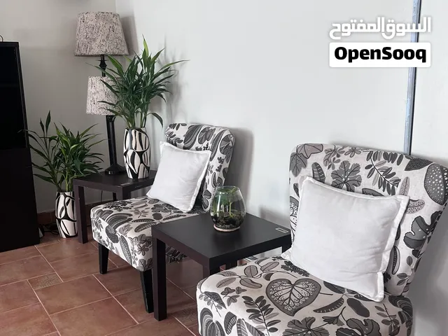 Living Room Chairs 2 Pcs With Attractive Looks