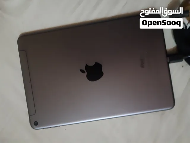 Apple iPad Mini 5 256 GB in Basra
