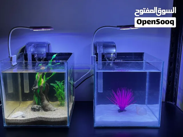 أحواض زينة مصغرة لأسماك البيتا (Mini Aquarium 20x20) بتصميم أنيق