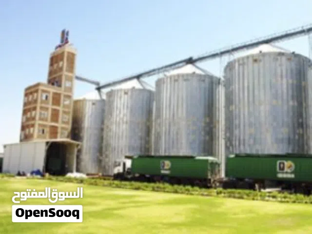 تصديق مطاحن غلال