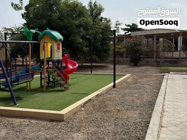 3 Bedrooms Farms for Sale in Al Batinah Al Masnaah