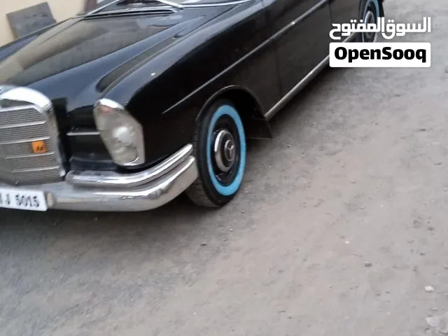 مطلوب شروات جمله للسوق الروسي جورجيا ارمينيا باسعار مميزه