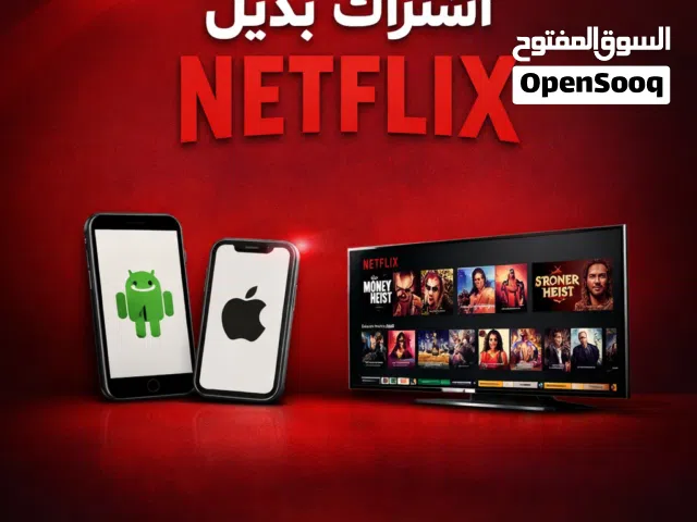 Netflix Accounts and Characters for Sale in Northern Governorate