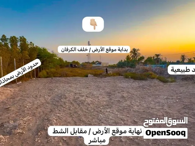 أرض دونم ونصف للبيع / في السيبة سيحان على شط العرب مباشر
