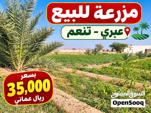 مزرعة بولاية عبري تنعم ماثول موقع مميز  للبيـــــــــــــع