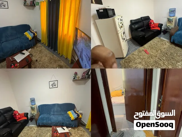 FEMALE ROOMMATE WANTED