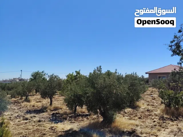 Residential Land for Sale in Irbid An-Nuayyimah