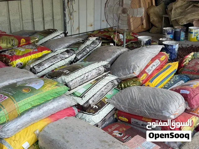 سح نفيعه للاغنام سح هاذي السنه