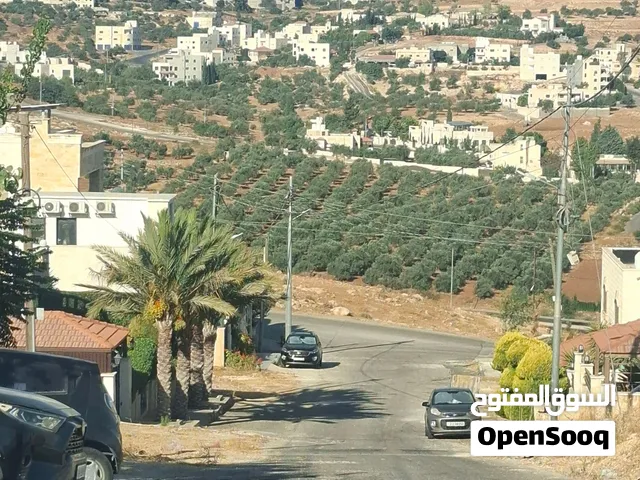 Residential Land for Sale in Amman Uyun Al-Dhib