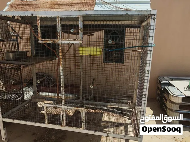 قفص طيور ممتاز