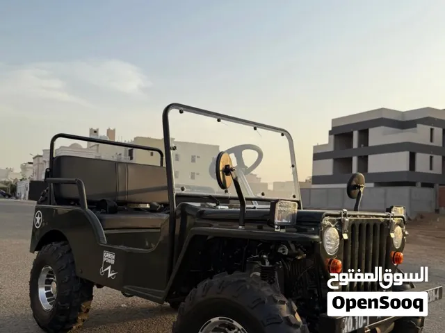 مطلوب ميني جيب  بسعر 100الى 250