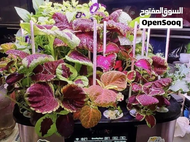 جهاز الزراعه المائيه